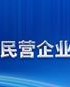 2022年中国制造业民营企业500榜单