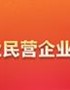 2022年中国服务业民营企业500强榜单