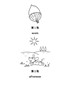 儿童简笔画(280张图)之一【精编打印版】
